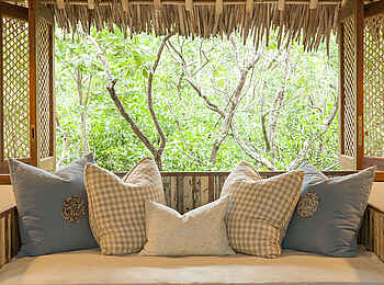 Vamizi Island: Papilio Blick auf den Wald