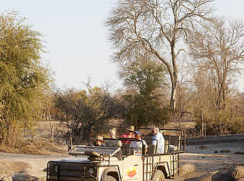 Jacis Sabi House: Auf Pirsch