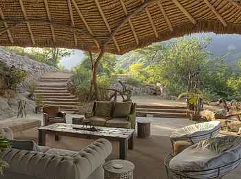 Sarara Tree: Sitzgruppe Sarara Tree: Sitzgruppe