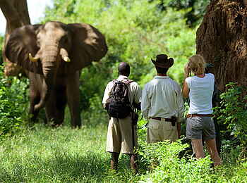 Time + Tide Chongwe: Während dem Bush Walk