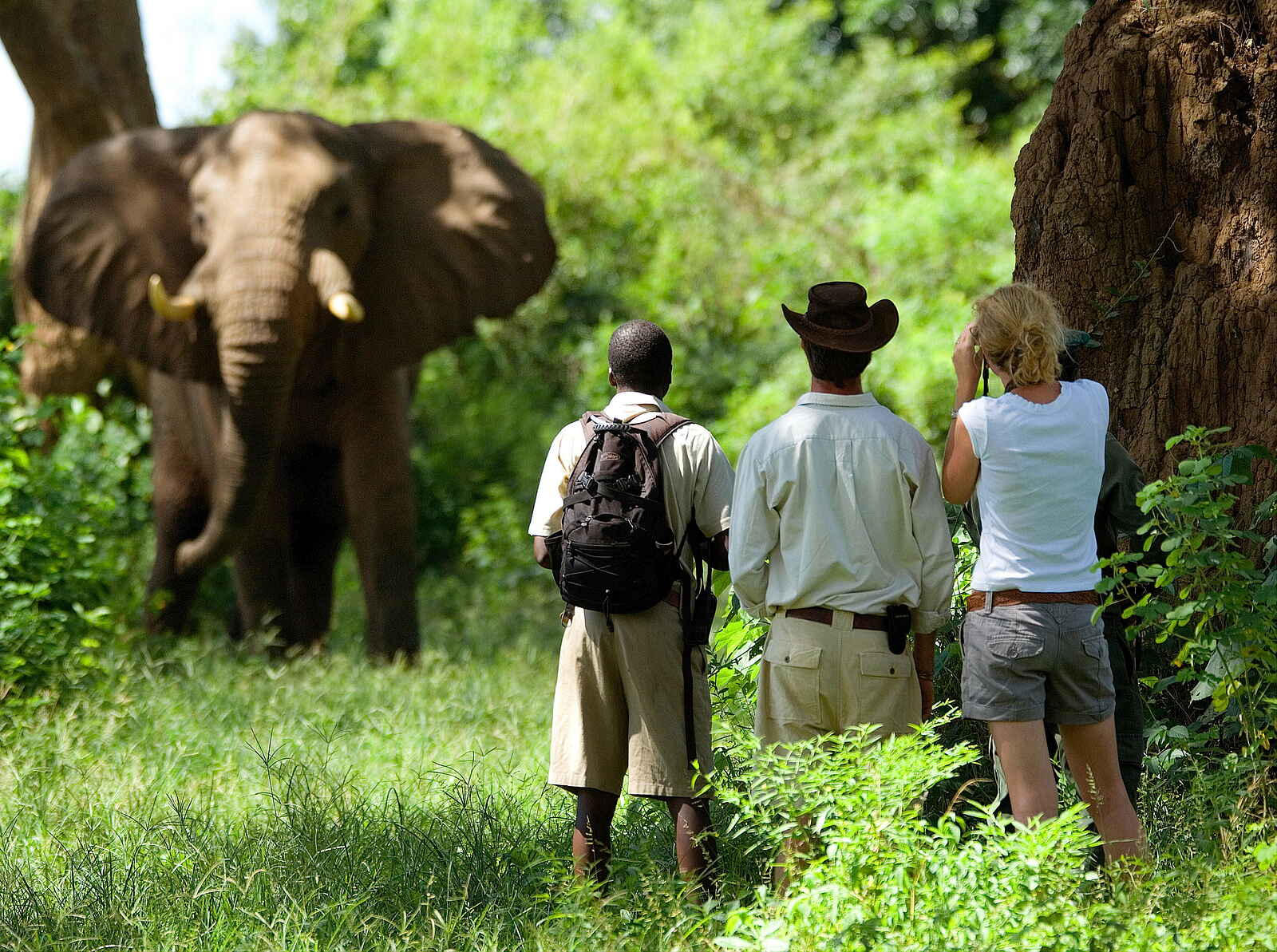 Time + Tide Chongwe: Während dem Bush Walk Time + Tide Chongwe: Während dem Bush Walk