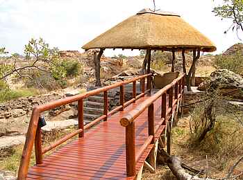 Tuli Safari Lodge Mashatu: Pavillon im Park