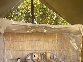 Chikoko Tree Camp: Doppelbett Chikoko Tree Camp: Doppelbett