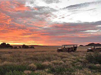 Desert Camp: Sundowner Desert Camp: Sundowner