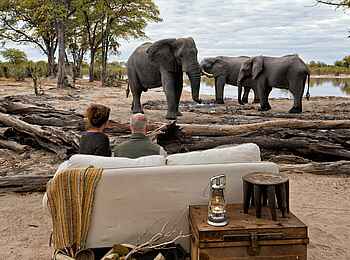 Elephant Pan Camp: Elephant Watching Elephant Pan Camp: Elephant Watching