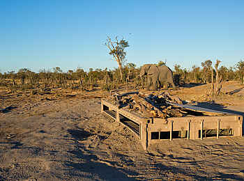 Elephant Pan Camp: Das Underground Hide Elephant Pan Camp: Das Underground Hide