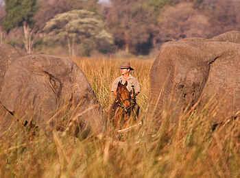 Macatoo Camp: Reitpersonal und Elefanten