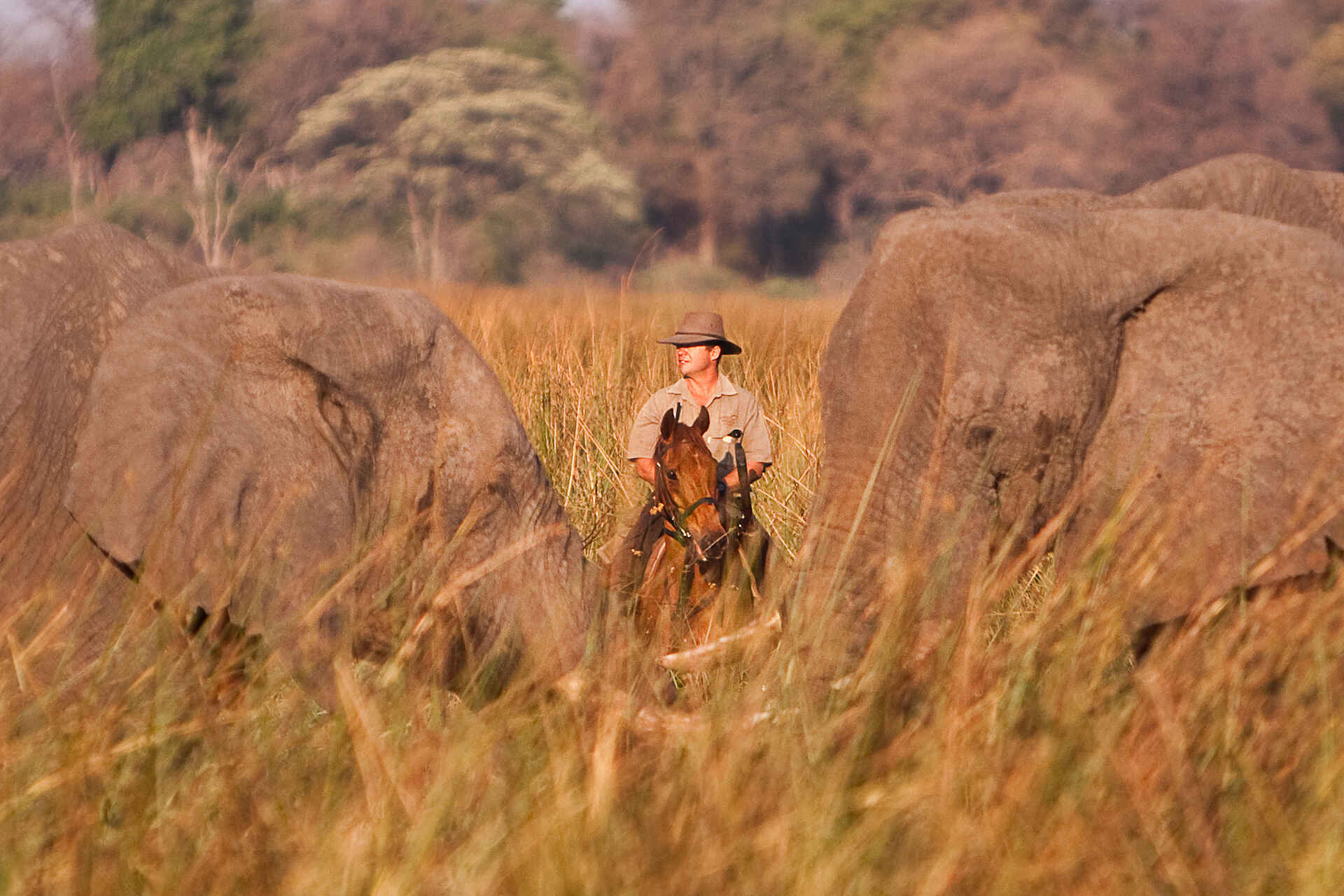 Macatoo Camp: Reitpersonal und Elefanten
