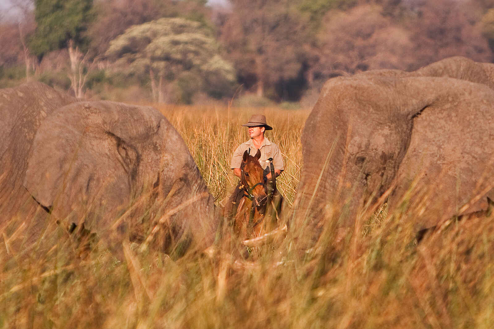 Macatoo Camp: Reitpersonal und Elefanten Macatoo Camp: Reitpersonal und Elefanten