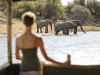 Meno a Kwena Camp: Blick aus dem Floating Hide Meno a Kwena Camp: Blick aus dem Floating Hide