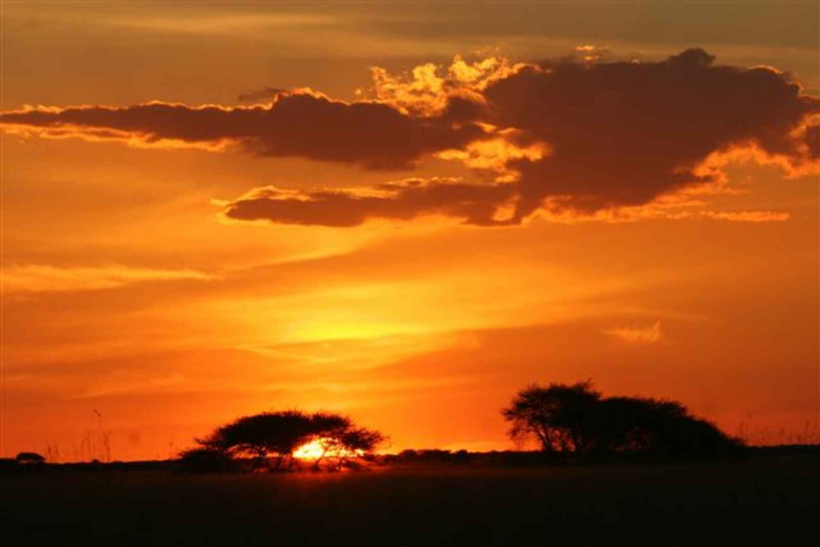 Nxai Pan Camp: Sonnenuntergang Nxai Pan Camp: Sonnenuntergang