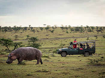 Serian's Nkorombo Mobile Camp: Nilpferd