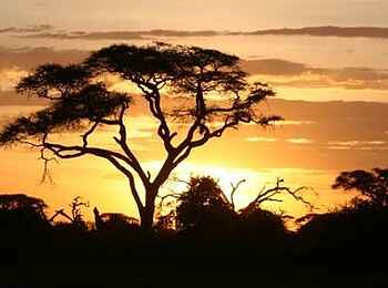 Sleeping Warrior Lodge: Beautiful Africa Sleeping Warrior Lodge: Beautiful Africa