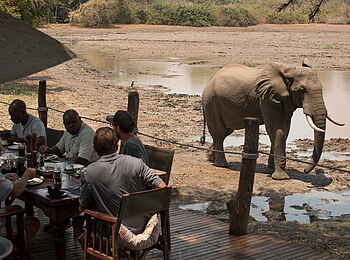 Kanga Expeditions: Lunch und Elefantenbesuch