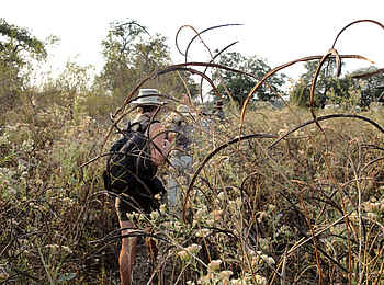 Mapazi Camp: Im dichten Busch