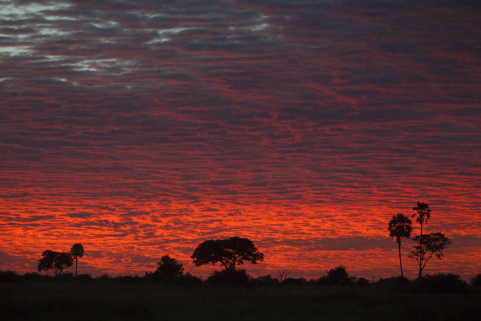Selinda Camp: Sonnenuntergang Selinda Camp: Sonnenuntergang