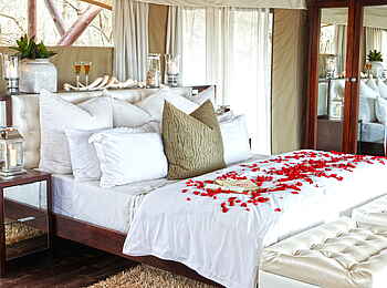 Thanda Tented Camp: Ein frisch hergerichtetes Bett Thanda Tented Camp: Ein frisch hergerichtetes Bett