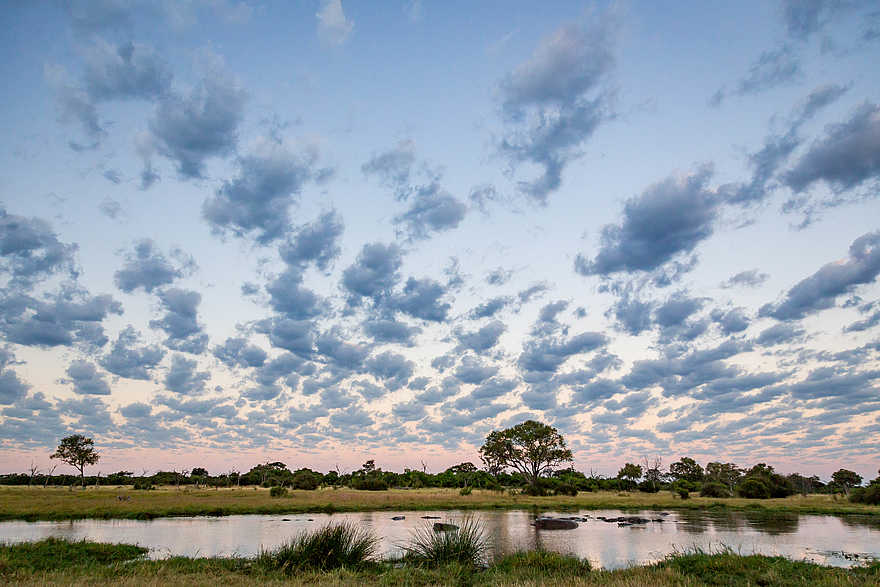 The Botswana Adventure: Pastell-Himmel über dem Okavango Delta The Botswana Adventure: Pastell-Himmel über dem Okavango Delta