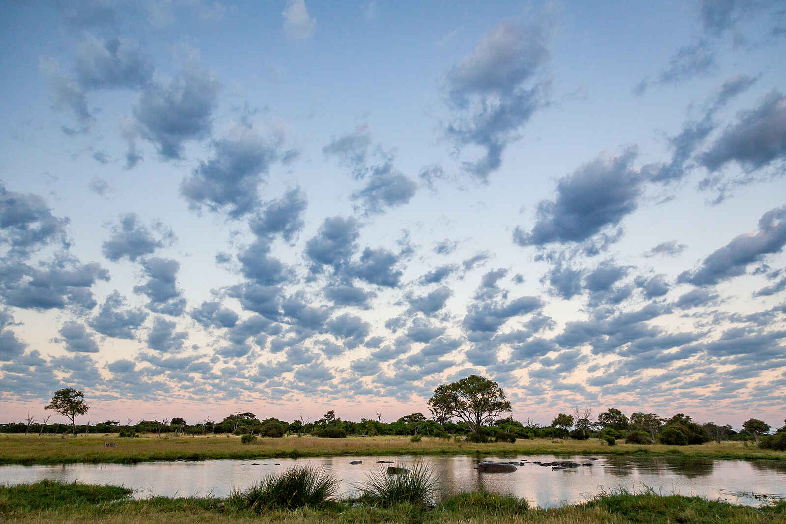 The Botswana Adventure: Pastell-Himmel über dem Okavango Delta The Botswana Adventure: Pastell-Himmel über dem Okavango Delta