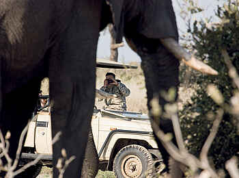 Belmond Savute Elephant Lodge: Auf der Pirsch