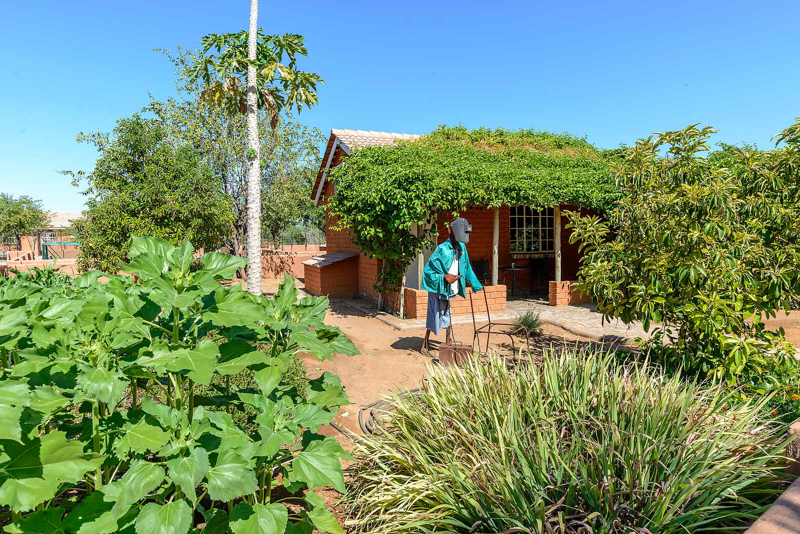 Damara Mopane Lodge: Gartenkunst Damara Mopane Lodge: Gartenkunst