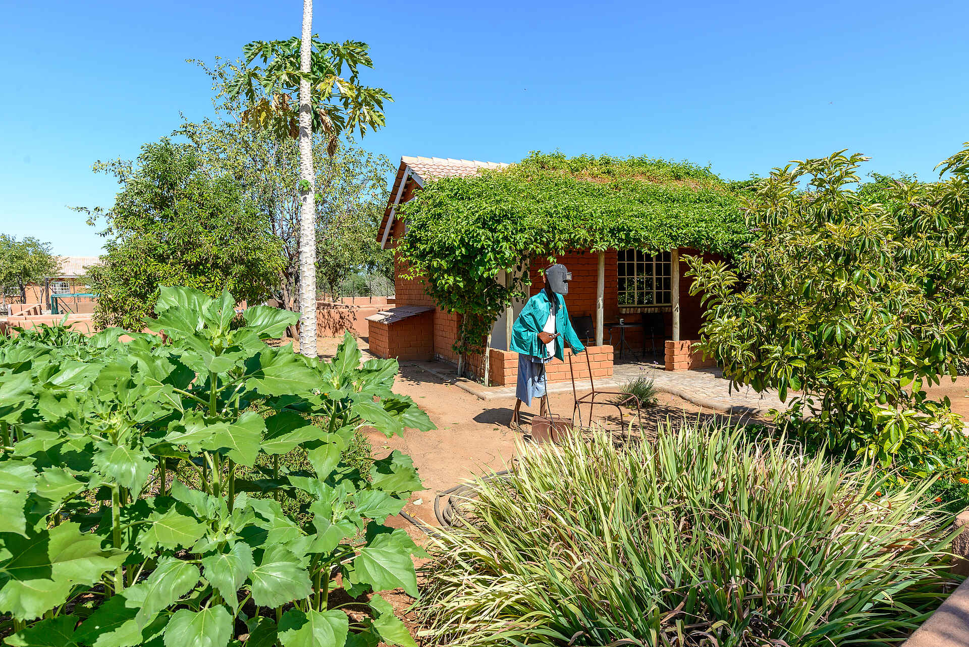 Damara Mopane Lodge, Damaraland, Khorixas, Namibia, Garten, Grün, Himmel, Kunst, Natur, Pflanzen, Afrikarma, Afrikarma Safaris, Afrikarma Safaris - Wildnis. Hautnah., Afrikarma.de