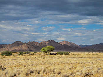 Desert Homestead Outpost: Zu Füßen des Naukluftgebirges