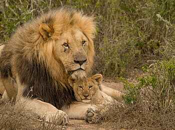 Great Fish River Lodge: Geborgenheit