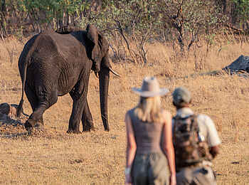 Ivory Lodge: Zu Fuß unterwegs Ivory Lodge: Zu Fuß unterwegs