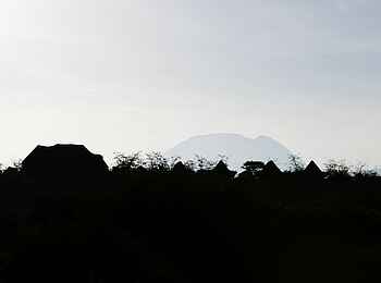 Kambi ya Tembo Camp: Abenddämmerung