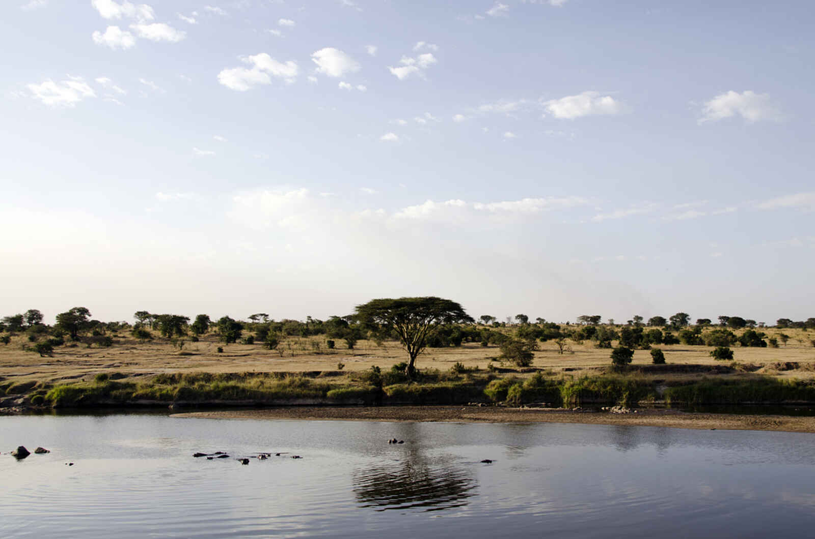 Lamai Serengeti: Mara River Lamai Serengeti: Mara River