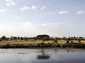 Lamai Serengeti: Mara River Lamai Serengeti: Mara River