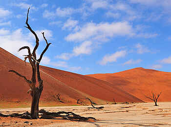 Sossusvlei Lodge: Trockenes Sossusvlei