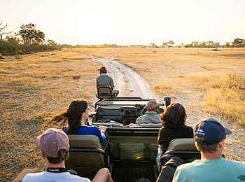 4 Rivers Camp: Pirschfahrt 4 Rivers Camp: Pirschfahrt