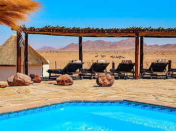 Desert Homestead: Liegen hinter dem Pool