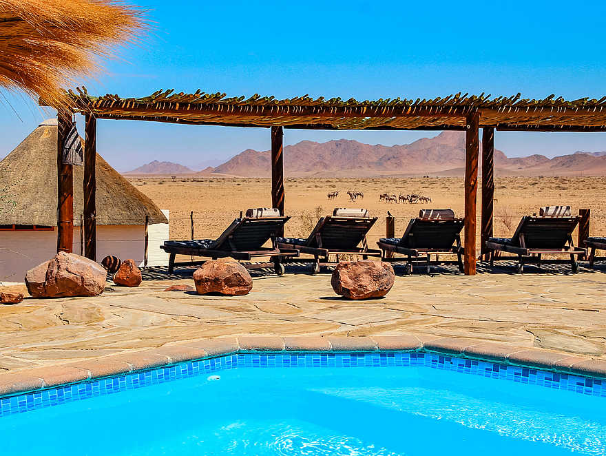 Desert Homestead: Liegen hinter dem Pool Desert Homestead: Liegen hinter dem Pool