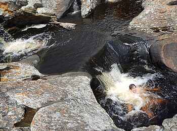 Frog and Fern Cottages: Naturpool Frog and Fern Cottages: Naturpool