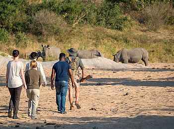 Jock Safari Lodge – Main Lodge: Walking-Safari mit Nashörnern