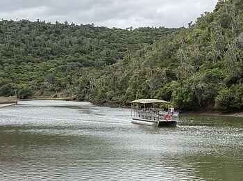 Kariega River Lodge: Fluss-Safari