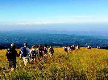 Luwawa Forest Lodge: Wanderung in den Viphya Mountains Luwawa Forest Lodge: Wanderung in den Viphya Mountains
