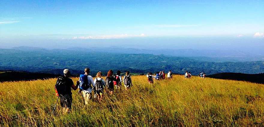 Luwawa Forest Lodge: Wanderung in den Viphya Mountains Luwawa Forest Lodge: Wanderung in den Viphya Mountains