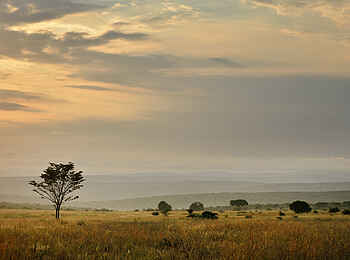 Makweti Safari Lodge: Eine Winterlandschaft