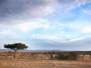Naboisho Camp: Weiter Himmel
