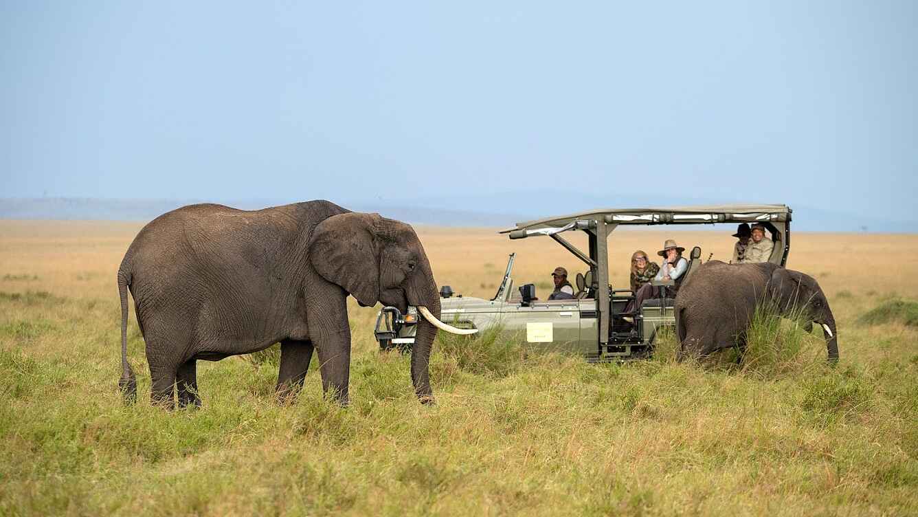 Paradise Plains Camp: Pirschfahrt mit Elefanten