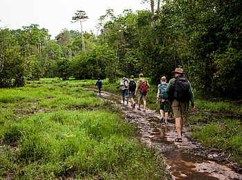 Sangha Lodge: Waldwanderung Sangha Lodge: Waldwanderung