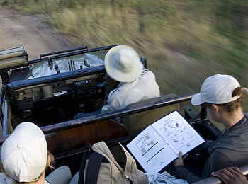 &Beyond Ngala Safari Lodge: Auf dem Game Drive