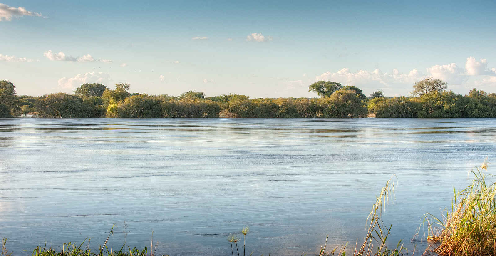 Kubu Lodge: Chobe River Kubu Lodge: Chobe River
