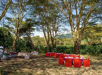 Ngorongoro Serena Safari Lodge: Bush Lunch Ngorongoro Serena Safari Lodge: Bush Lunch