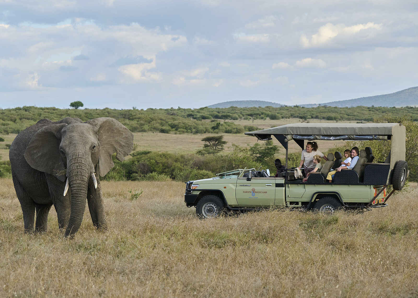 Saruni Leopard Hill: Elefant Saruni Leopard Hill: Elefant