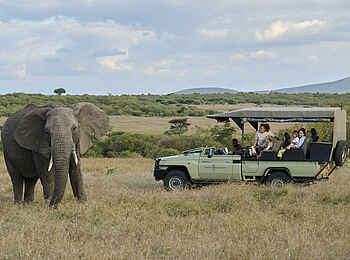 Saruni Leopard Hill: Elefant Saruni Leopard Hill: Elefant
